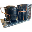 Tecumseh AJ7455Y-AA3ADG 3/4 HP Unidad Consensadora, Media/Temp, R-134a, , 115v/1ph/60Hz