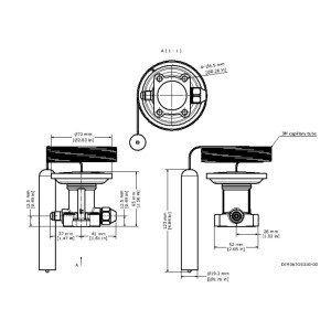 Danfoss 067G3305 Thermostatic Element TE 55 for R404, R507 1/4 Flare Pressure Equalizer MOP -5F Range -75F to -15F Capillary Tube 118in 
